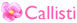 website seo and maintenance - callisti image